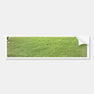 Stratford-upon-Avon England On-The-Green jGibney Bumper Sticker