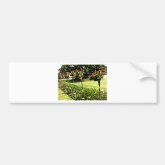 Stratford-upon-Avon Garden Rose snap-29602 jGibney Bumper Sticker