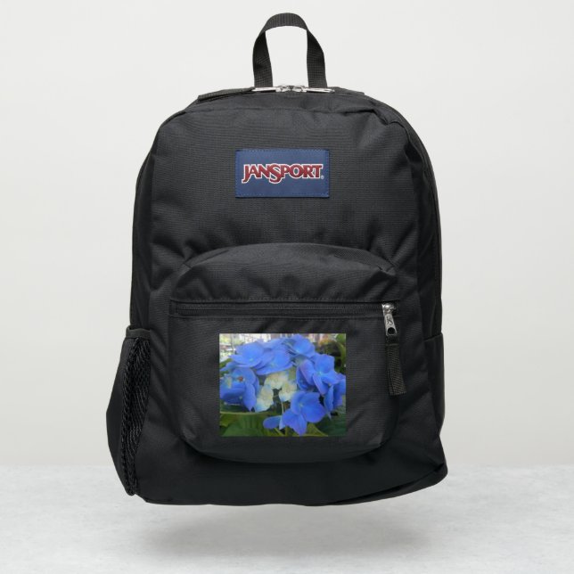 Strathmore JanSport Backpack (Front)