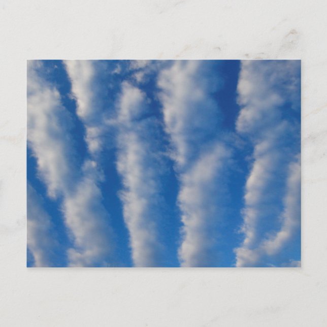 Stratocumulus Undulatus Clouds Postcard (Front)