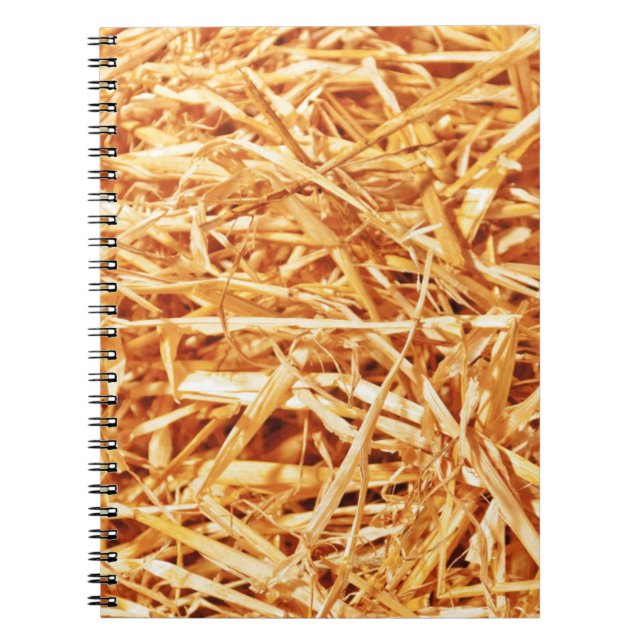 Straw, Abstract Design Notebook (Front)