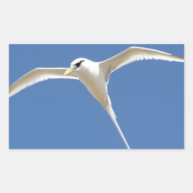 Straw bird in Teuve Mauritius Rectangular Sticker (Front)