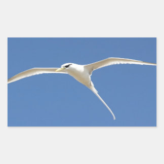 Straw bird in Teuve Mauritius Rectangular Sticker