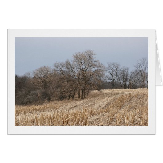 Straw Fields Blank Cards (Front Horizontal)