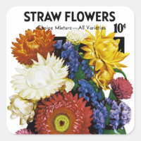 Straw Flowers Seed Packet Label
