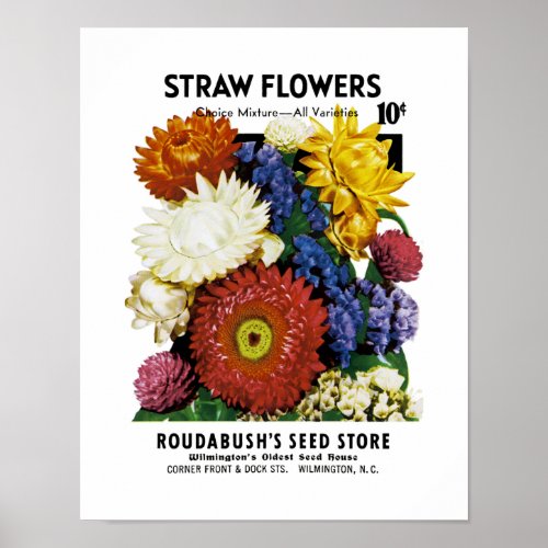 Straw Flowers Seed Packet Label Poster