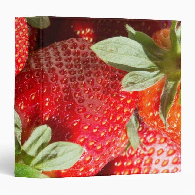 Strawberries Binder (Front/Spine)