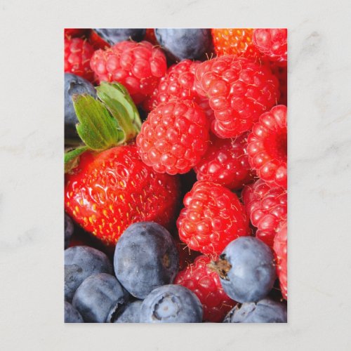 Strawberries Blueberries and Raspberries Postcard