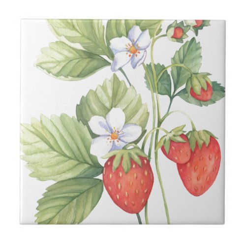 Strawberries Ceramic Tile