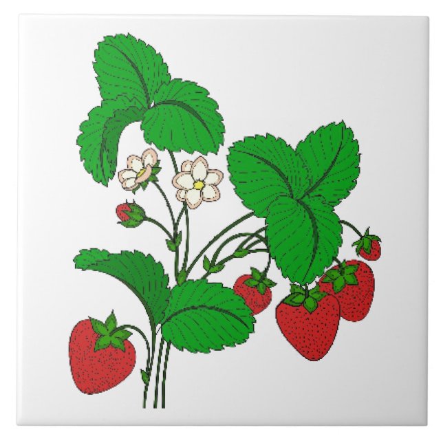 Strawberries for Breakfast Ceramic Tile (Front)