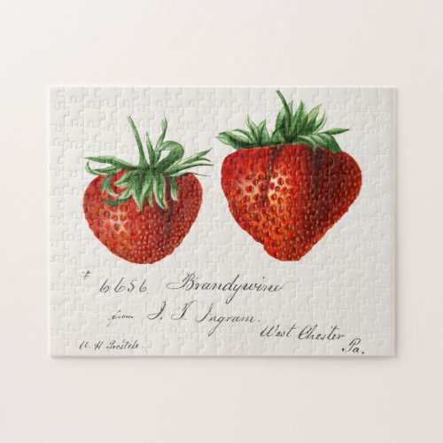 Strawberries Fragaria Fruit Watercolor Painting Jigsaw Puzzle