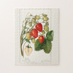 Strawberries (Fragaria) Fruit Watercolor Painting Jigsaw Puzzle