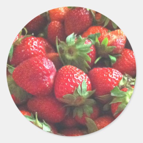 Strawberries  fresh picked red berries   classic  classic round sticker