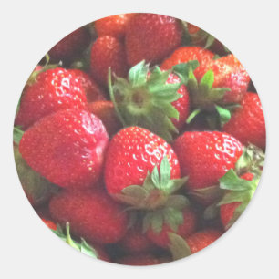 Strawberries   fresh picked red berries   classic  classic round sticker