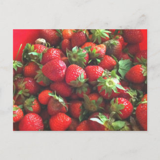 Strawberries | fresh picked red berries postcard