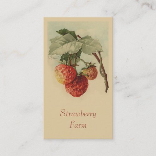 Strawberries fruit sales business card