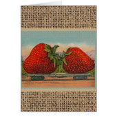 Strawberries Giant Antique Fruit Fun (Front)