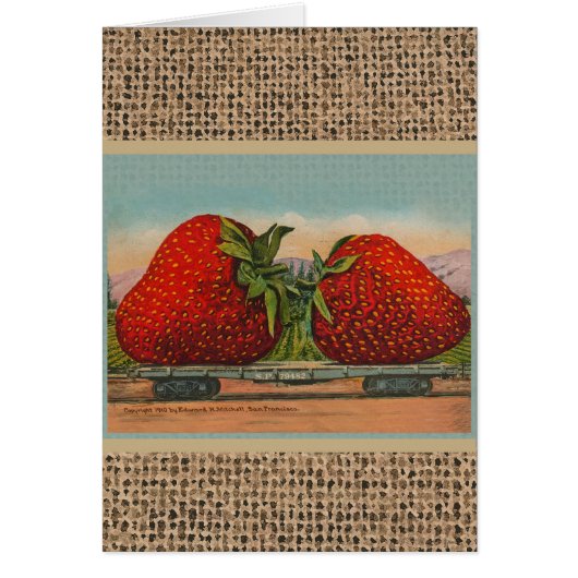Strawberries Giant Antique Fruit Fun (Front)