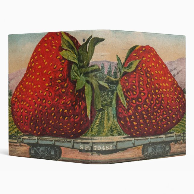 Strawberries Giant Antique Fruit Fun Binder (Background)