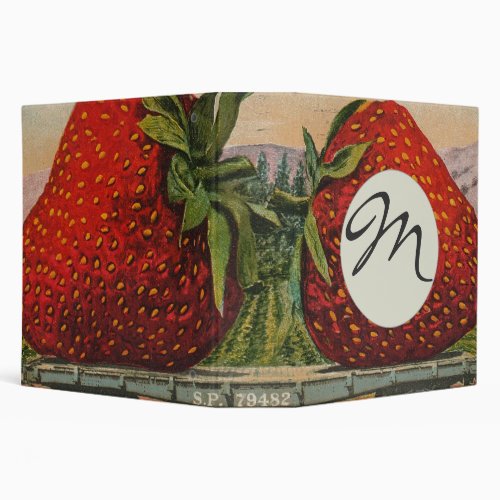 Strawberries Giant Antique Fruit Fun Binder