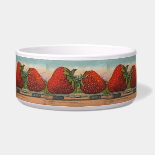 Strawberries Giant Antique Fruit Fun Bowl