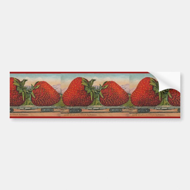 Strawberries Giant Antique Fruit Fun Bumper Sticker (Front)
