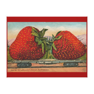 Strawberries Giant Antique Fruit Fun Canvas Print