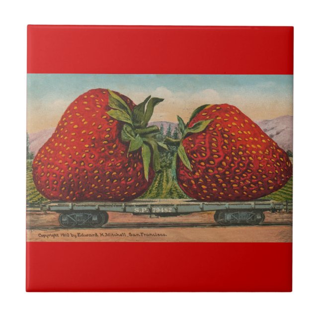 Strawberries Giant Antique Fruit Fun Ceramic Tile (Front)
