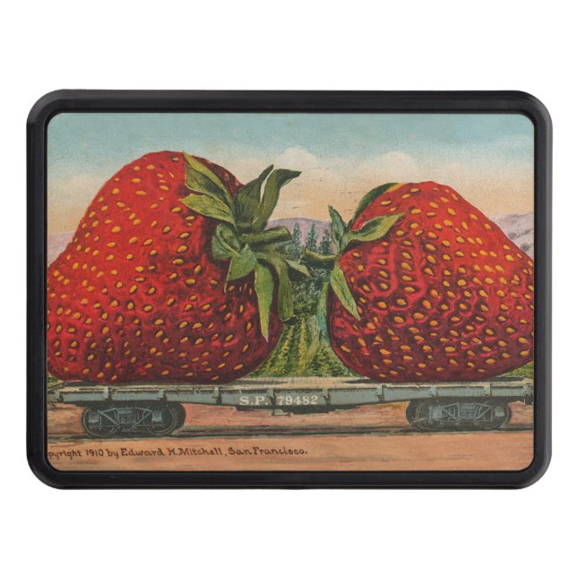 Strawberries Giant Antique Fruit Fun Hitch Cover (Front)