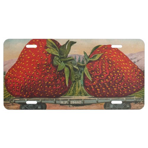 Strawberries Giant Antique Fruit Fun License Plate