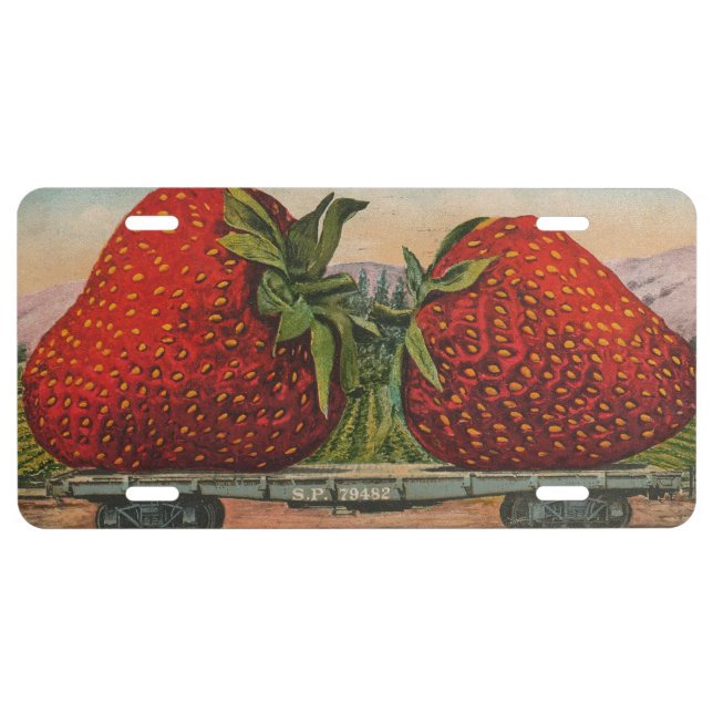 Strawberries Giant Antique Fruit Fun License Plate (Front)