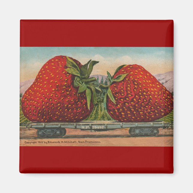 Strawberries Giant Antique Fruit Fun Magnet (Front)