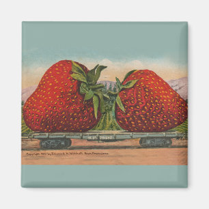 Strawberries Giant Antique Fruit Fun Magnet