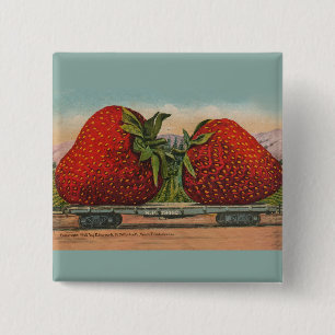 Strawberries Giant Antique Fruit Fun Pinback Button