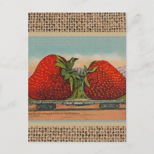 Strawberries Giant Antique Fruit Fun Postcard