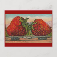 Strawberries Giant Antique Fruit Fun