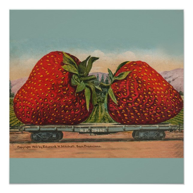 Strawberries Giant Antique Fruit Fun Poster (Front)