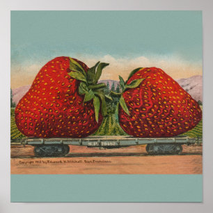 Strawberries Giant Antique Fruit Fun Poster