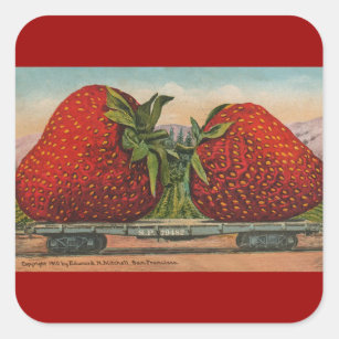 Strawberries Giant Antique Fruit Fun Square Sticker