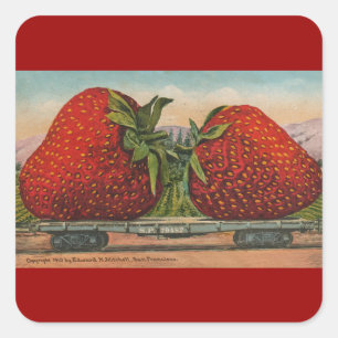 Strawberries Giant Antique Fruit Fun Square Sticker