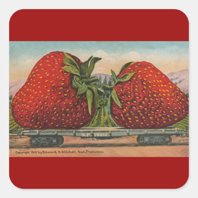 Strawberries Giant Antique Fruit Fun Square Sticker (Front)