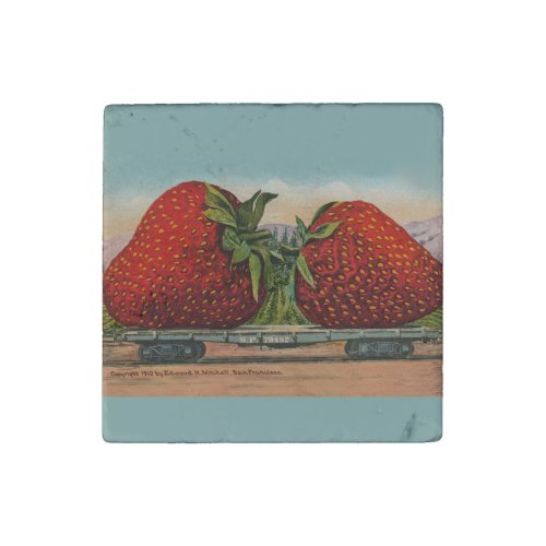 Strawberries Giant Antique Fruit Fun Stone Magnet