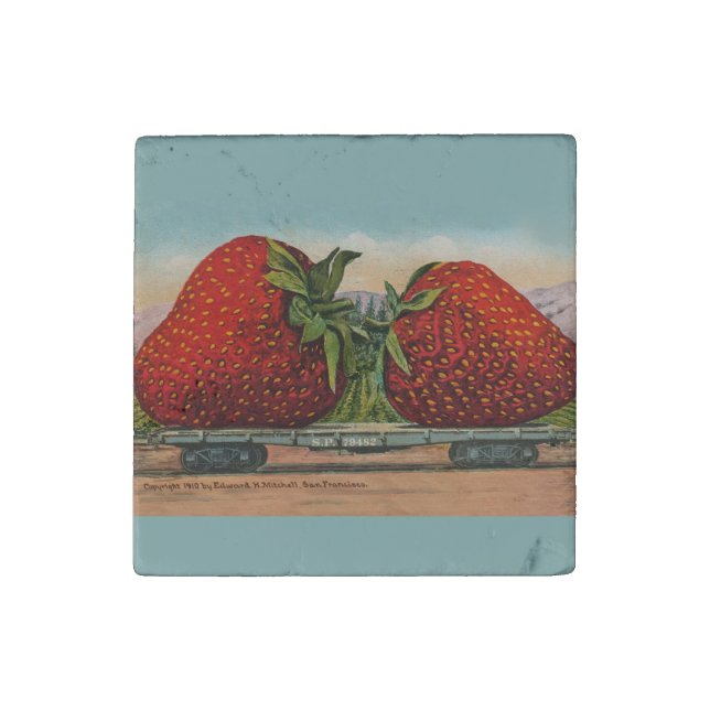 Strawberries Giant Antique Fruit Fun Stone Magnet (First Magnet)