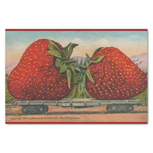 Strawberries Giant Antique Fruit Fun Tissue Paper