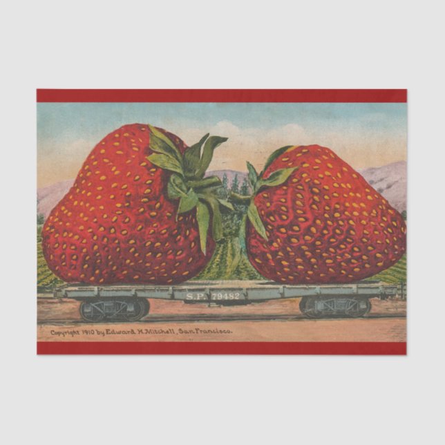 Strawberries Giant Antique Fruit Fun Tissue Paper (Front)