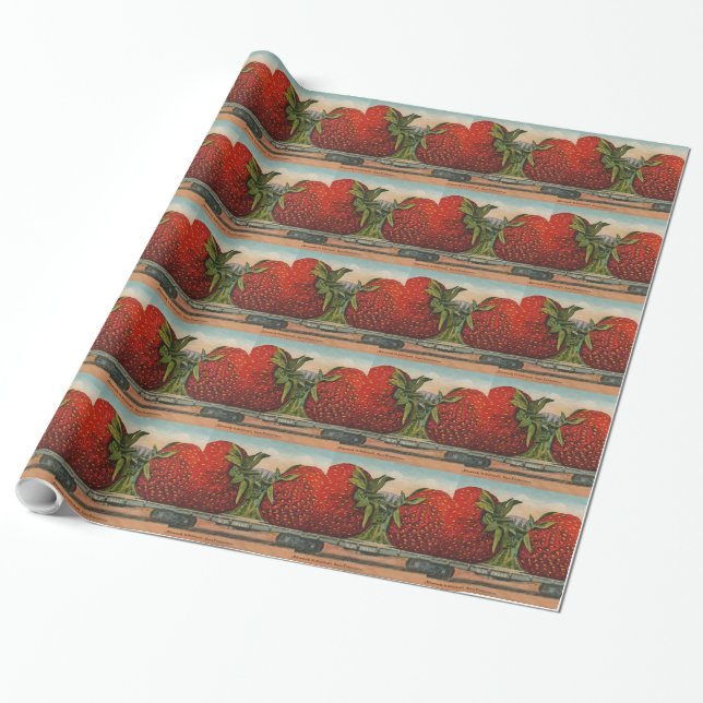 Strawberries Giant Antique Fruit Fun Wrapping Paper (Unrolled)