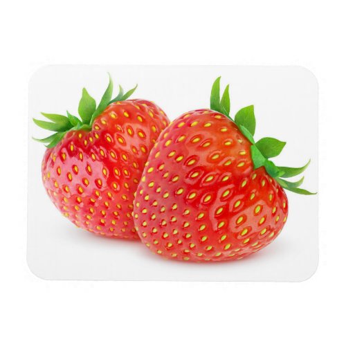 Strawberries Magnet