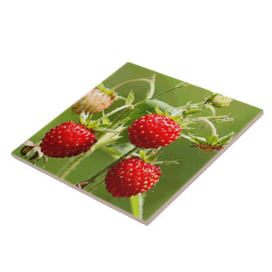 Strawberries Nature Fine Art Fashion Tile