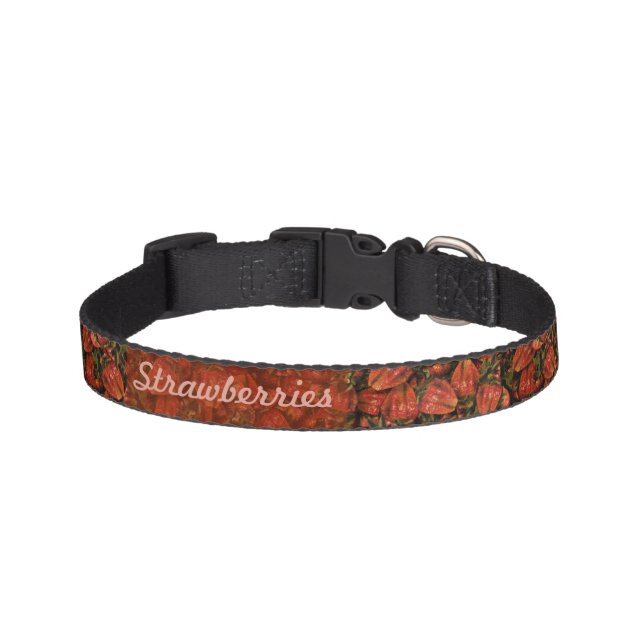 Strawberries Pet Collar (Front)