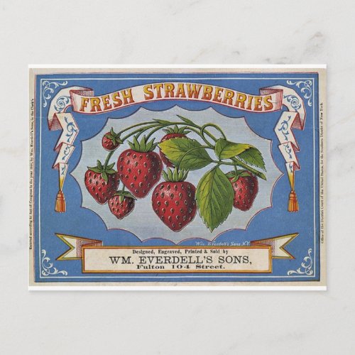 Strawberries Postcard